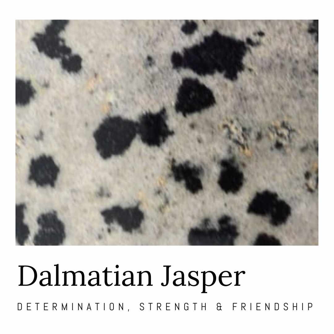 Vye Dalmatian Jasper Silver Charm - Honoura